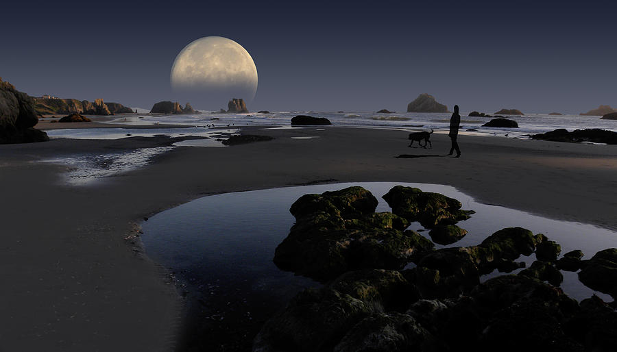 2724 Photograph by Peter Holme III