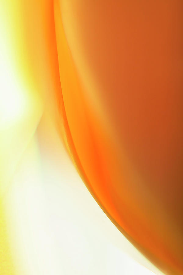 Abstract Colored Forms And Light #28 Photograph by Ralf Hiemisch