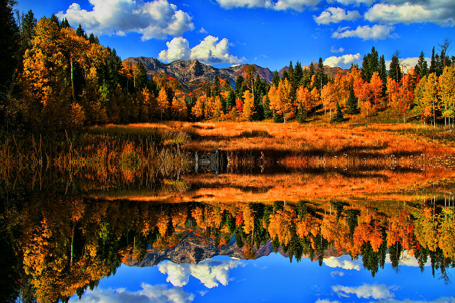 Fall Photograph - Autumn Splender #28 by Mark Smith