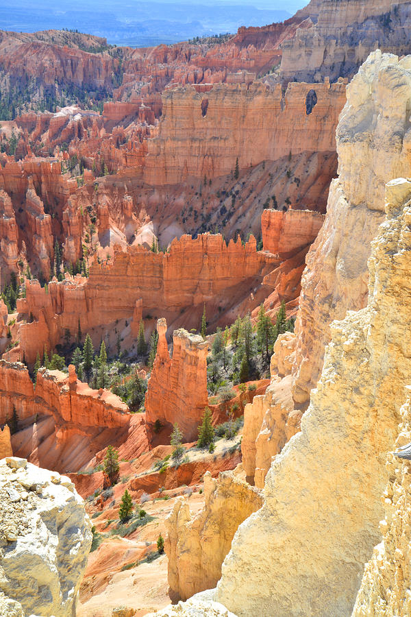Bryce Canyon National Park Photograph - Bryce Canyon #24 by Ray Mathis