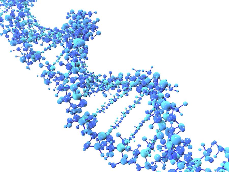 Dna Strand Photograph By Alfred Pasieka Science Photo Library