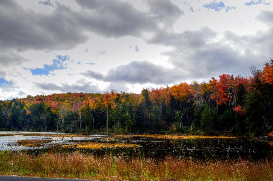 Fall Foliage in Massachusetts USA #28 Photograph by Paul James Bannerman