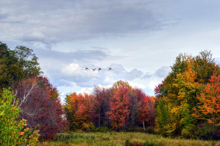 Fall Foliage in New Hampshire #28 Photograph by Paul James Bannerman
