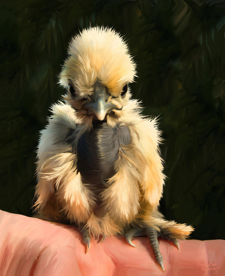 Chicken Digital Art - 28. Fingerchick by Sigrid Van Dort Chicken Digital Art - 28. Fingerchick by Sigrid Van Dort
