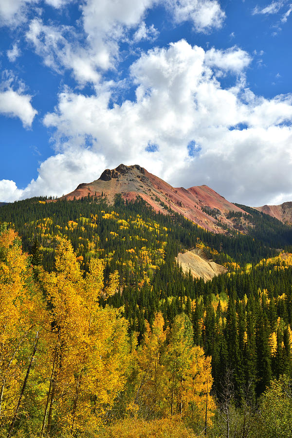 Red Mountain Pass Fall Colors #3 Photograph by Ray Mathis