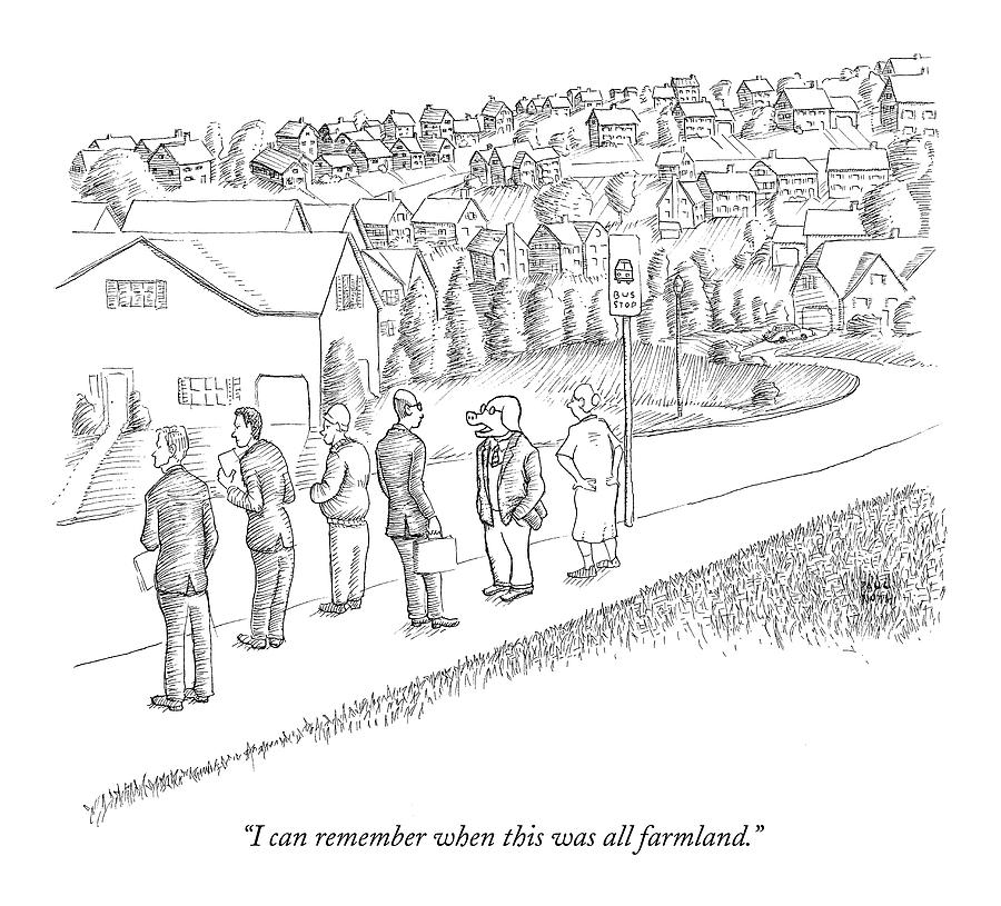 I Can Remember When This Was All Farmland Drawing by Paul Noth