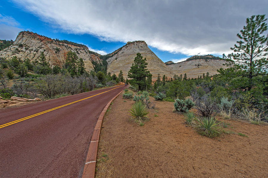 Zion National Park #28 Photograph by Willie Harper