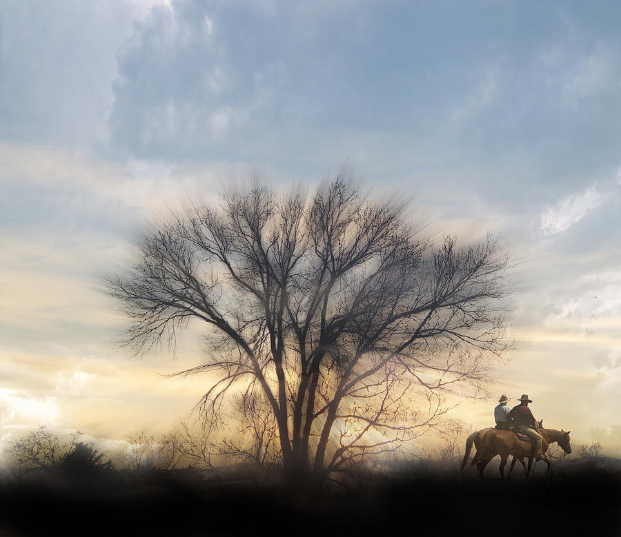 Horse Photograph - 2827 by Peter Holme III