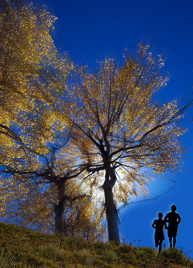 Tree Photograph - 2851 by Peter Holme III