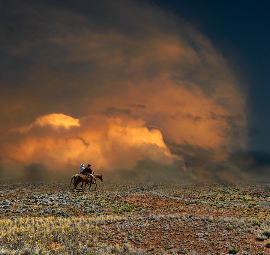 Horse Photograph - 2876 by Peter Holme III