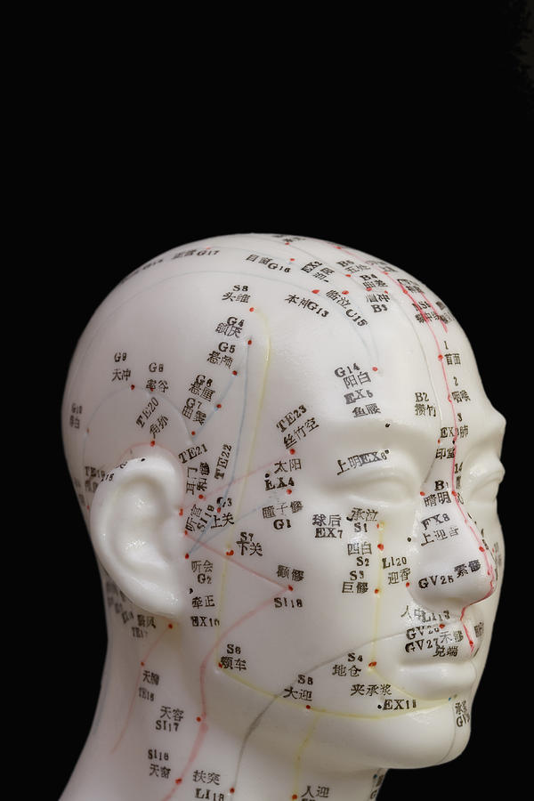 Acupuncture Points Photograph by Science Stock Photography - Fine Art ...