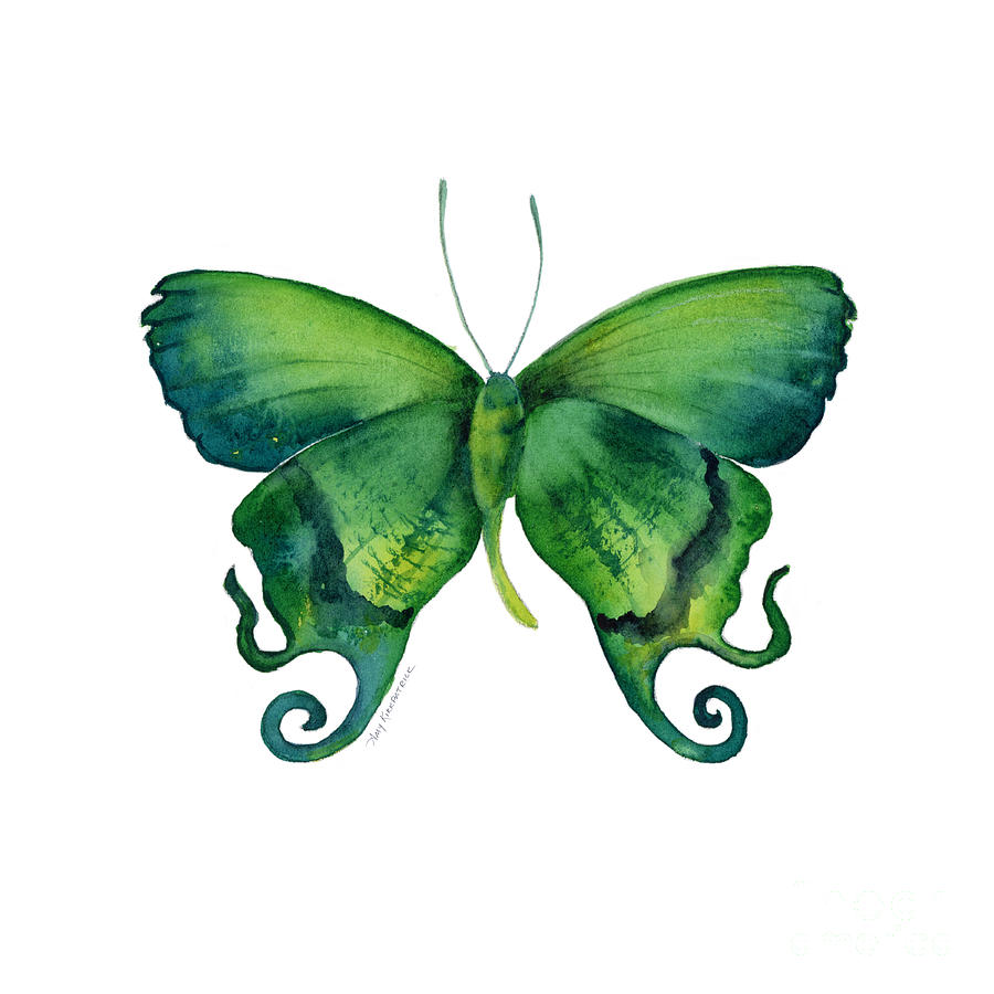 Butterfly Painting - 29 Arcas Butterfly by Amy Kirkpatrick