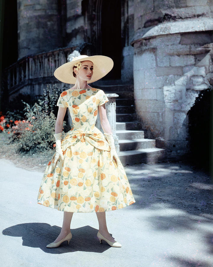 Audrey Hepburn Photograph - Audrey Hepburn #29 by Silver Screen
