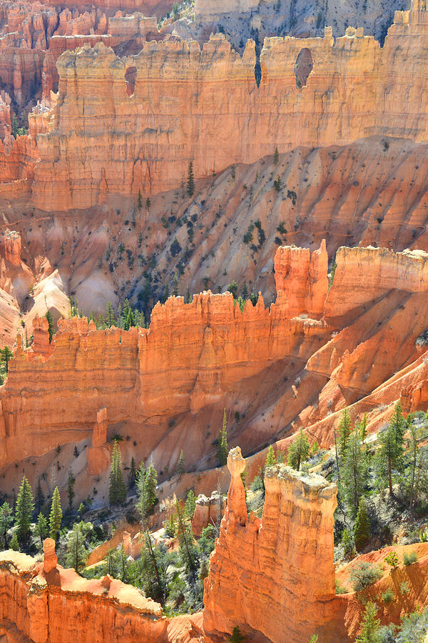 Bryce Canyon National Park Photograph - Bryce Canyon #15 by Ray Mathis