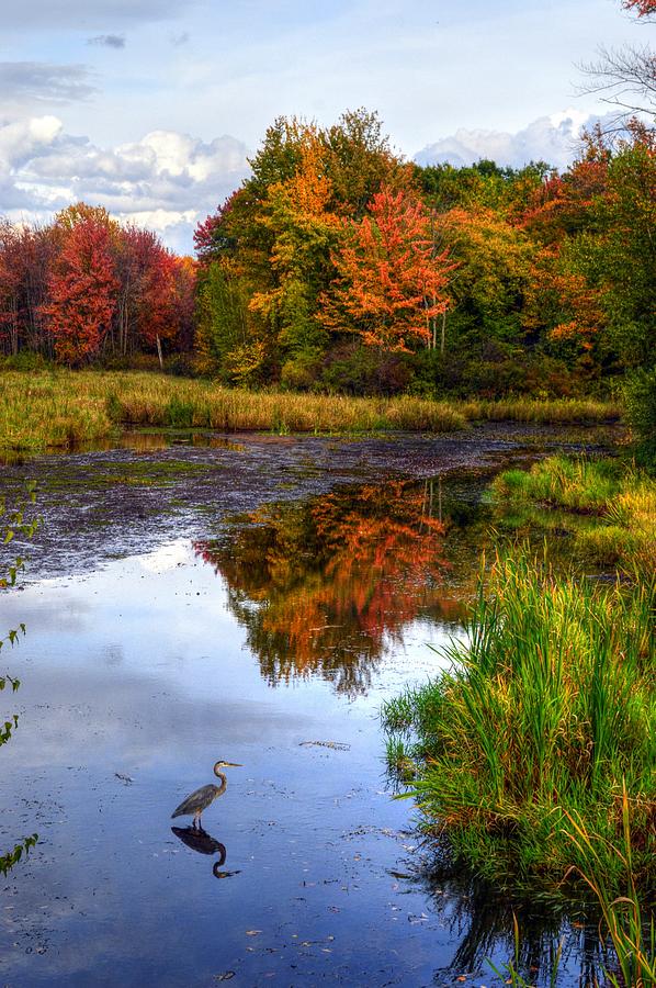 Fall Foliage in New Hampshire #29 Photograph by Paul James Bannerman