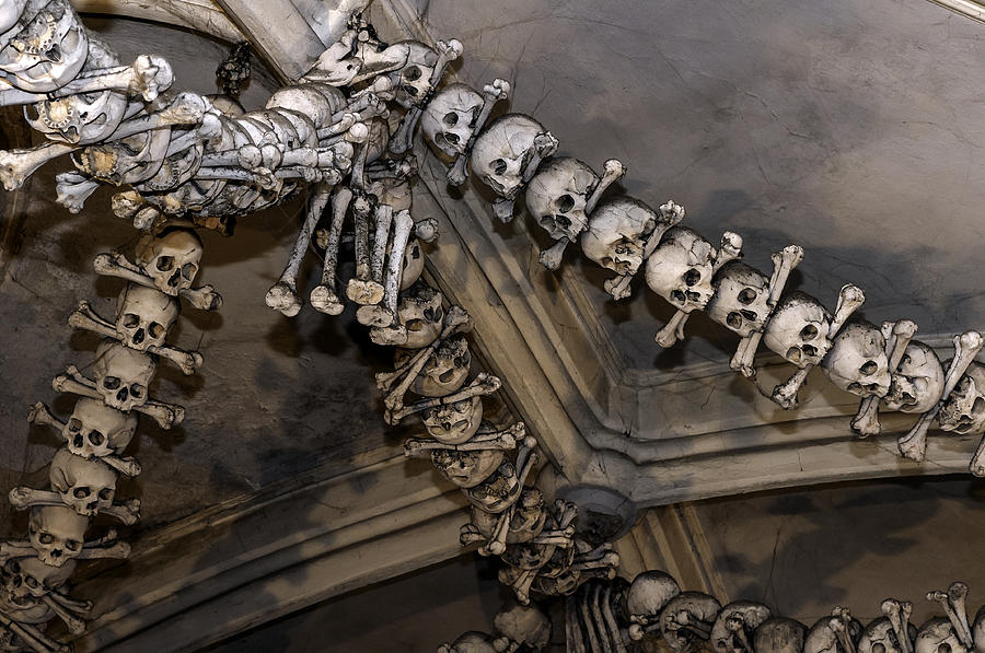 Halloween Photograph - Human bones. #29 by Fernando Barozza
