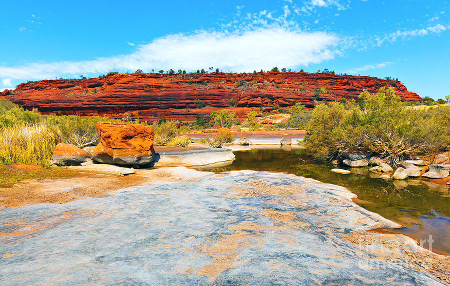 Palm Valley Central Australia  #30 Photograph by Bill  Robinson