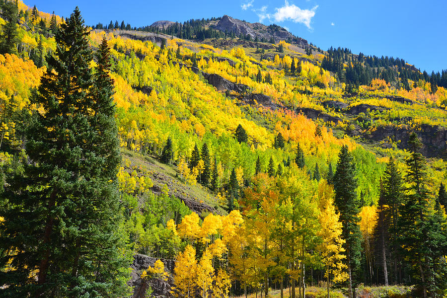Red Mountain Pass Fall Colors #16 Photograph by Ray Mathis