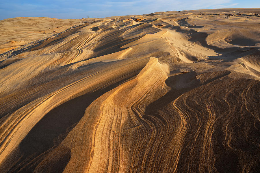 Silver Lake Sand Dunes Photograph by Dean Pennala - Pixels