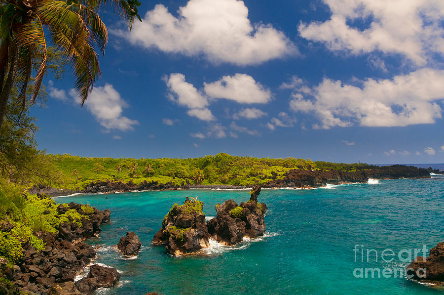 Spectacular ocean view on the Road to Hana Maui Hawaii USA #29 Photograph by Don Landwehrle