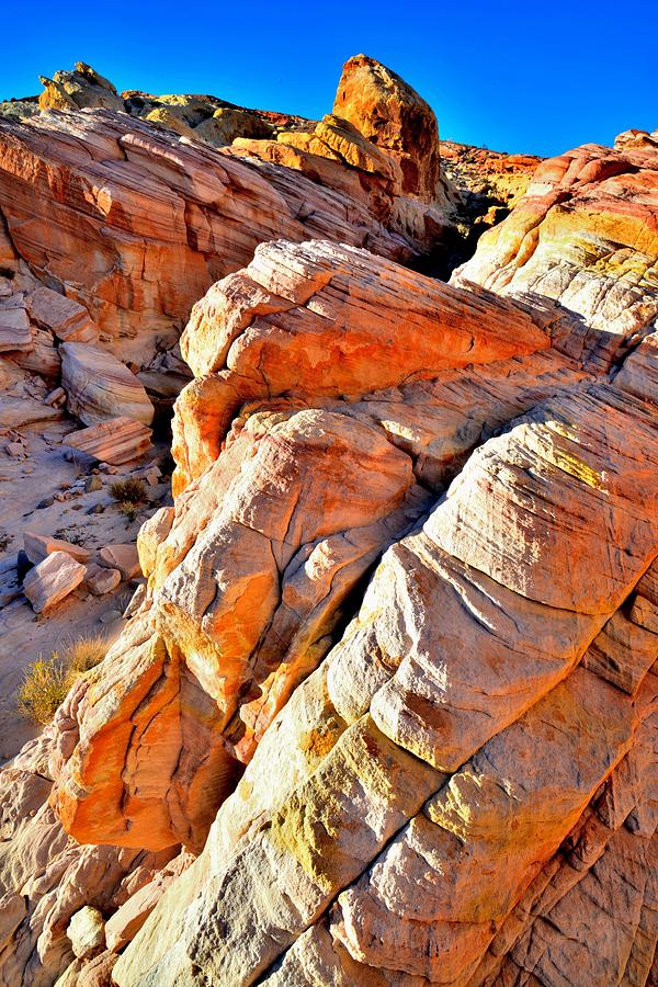 Valley of Fire #581 Photograph by Ray Mathis