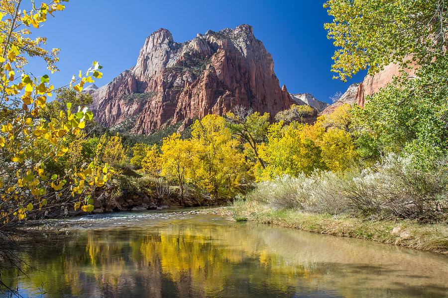 Zion National Park in Autumn #29 Photograph by Pierre Leclerc Photography