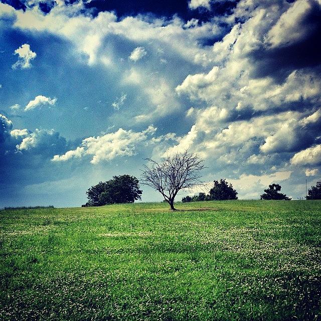 Landscape Photograph - Instagram Photo #291400719129 by Tiffany Anthony