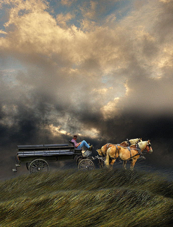 2936 Photograph by Peter Holme III