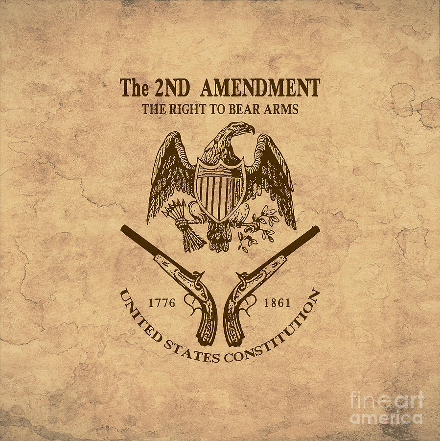 visual representation of the 2nd amendment
