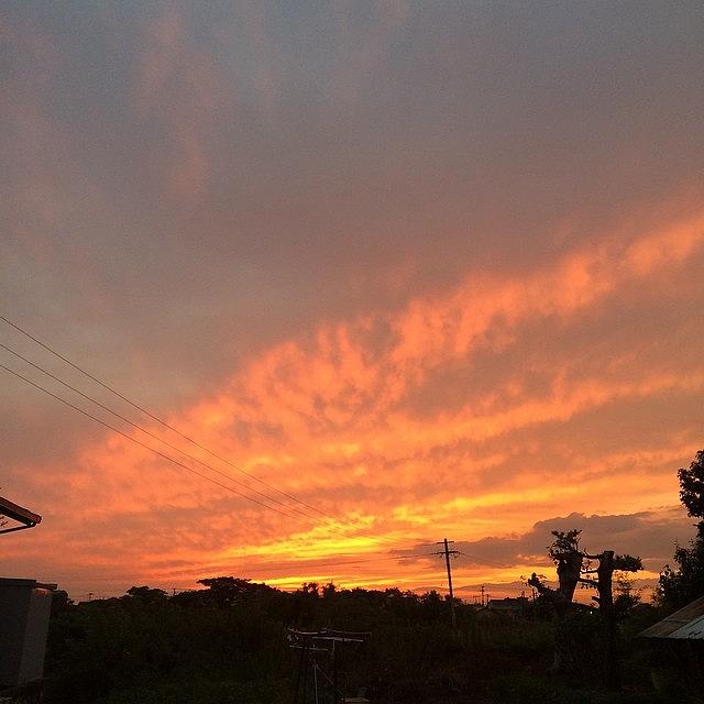 Sunset Photograph - #今空 #イマソラ #空 #sky #夕陽 #3 by Nozomi Setoguchi