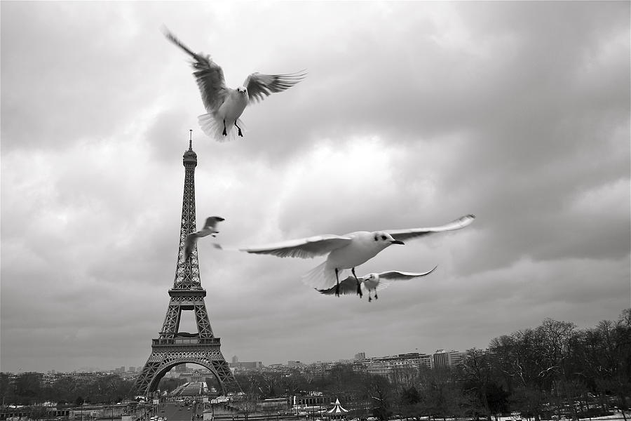 Paris Digital Art - . #3 by Danica Radman