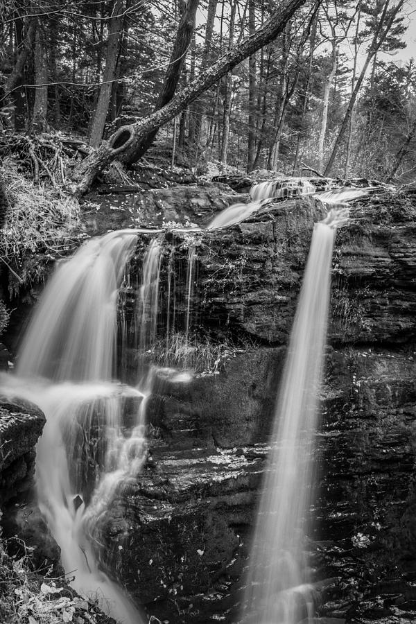  Waterfalls George W Childs National Park Painted BW   #3 Photograph by Rich Franco