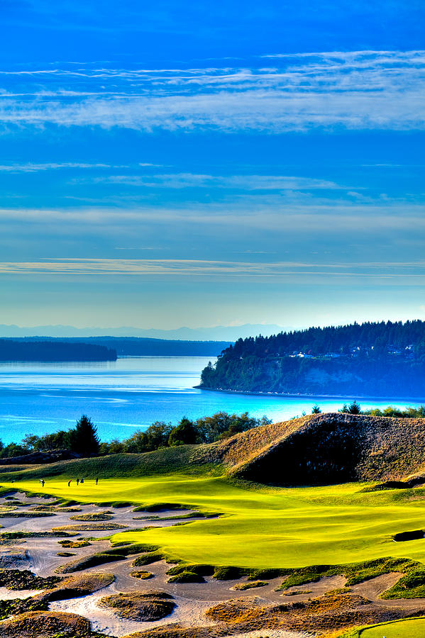 #14 at Chambers Bay Golf Course - Location of the 2015 U.S. Open Tournament #3 Photograph by David Patterson