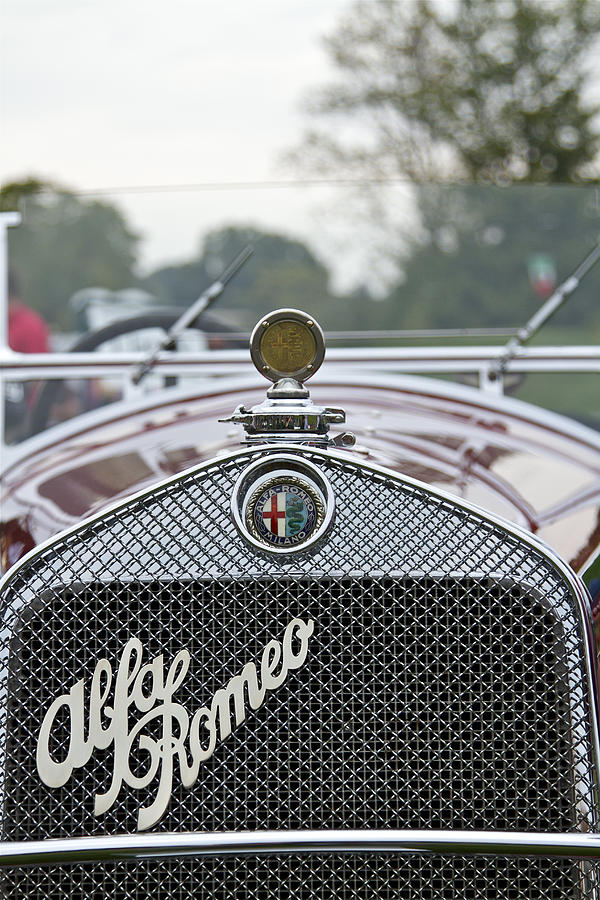 1931 Alfa Romeo Photograph by Jack R Perry