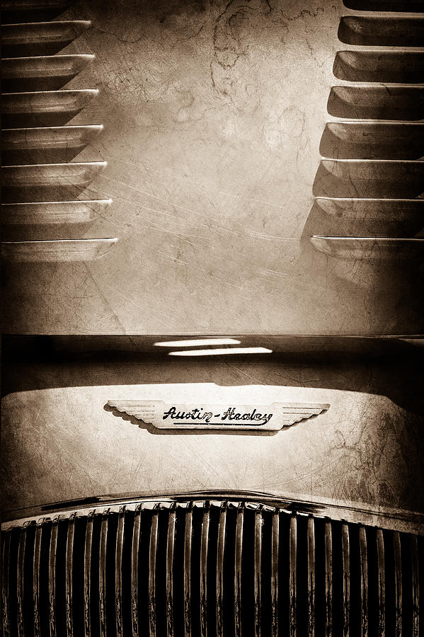 1956 Austin-Healey 100M BN2 Factory Le Mans Competition Roadster Hood Emblem #3 Photograph by Jill Reger
