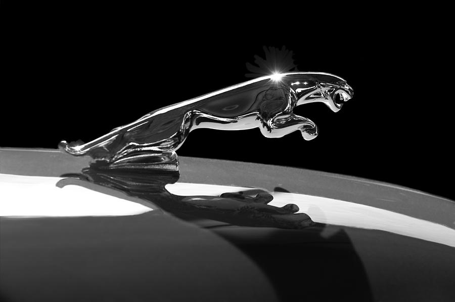 1961 Jaguar Kougar Hood Ornament -0569C Photograph by Jill Reger