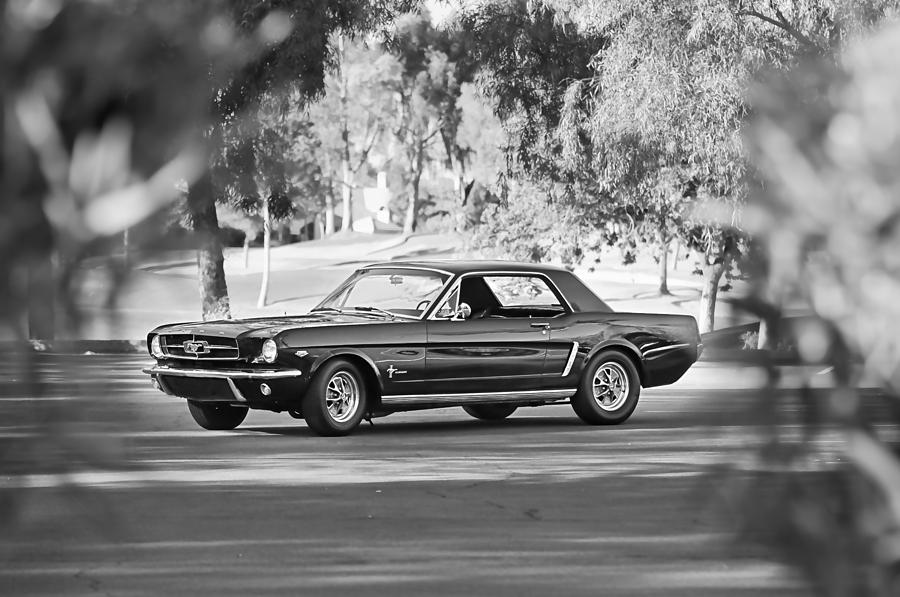 1965 Shelby Prototype Ford Mustang #7 Photograph by Jill Reger