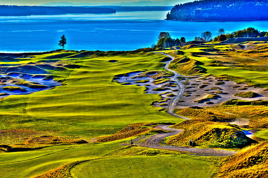 #5 at Chambers Bay Golf Course - Location of the 2015 U.S. Open Tournament #2 Photograph by David Patterson