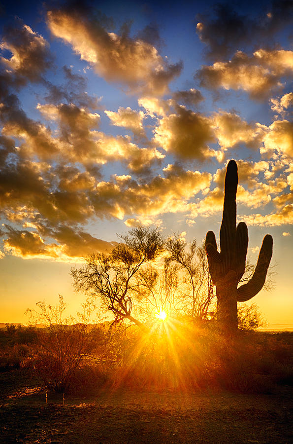 Nature Photograph - A Desert Sunrise  #1 by Saija Lehtonen