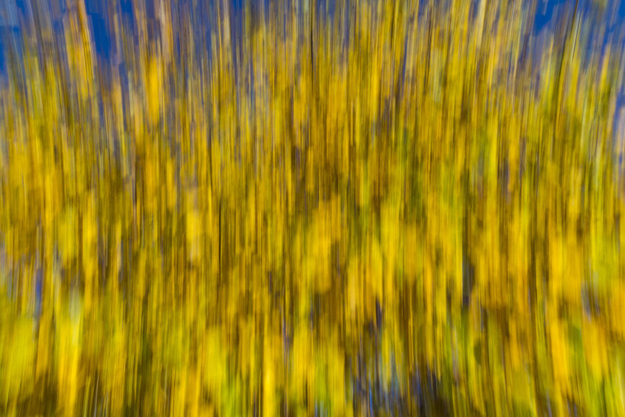 Abstract of Autumn #3 Photograph by David Pyatt
