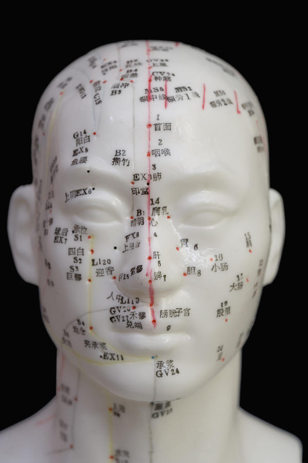 Acupuncture Points #3 Photograph by Science Stock Photography