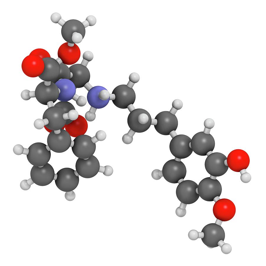 Advantame Sugar Substitute Molecule Photograph by Molekuul - Fine Art ...