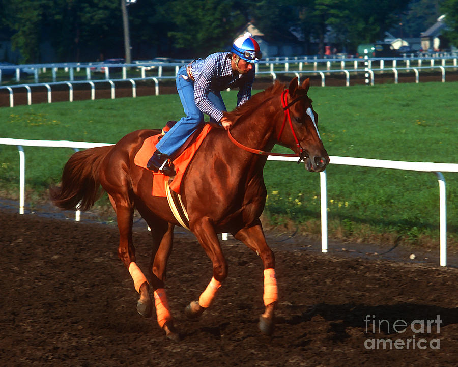 Affirmed #5 Photograph by Marc Bittan