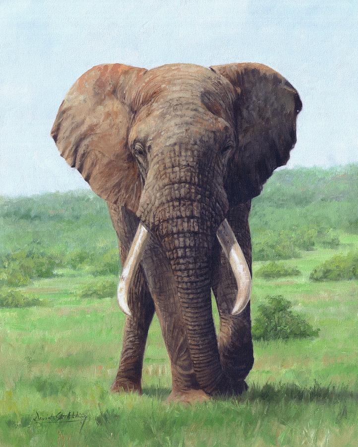 Wildlife Painting - African Elephant #6 by David Stribbling