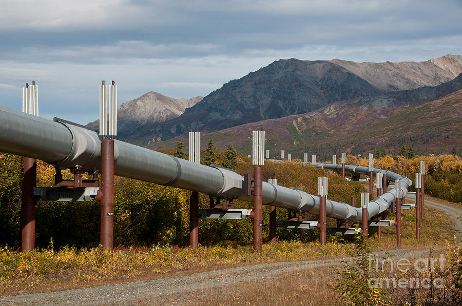 Alaska Oil Pipeline #3 Photograph by Mark Newman