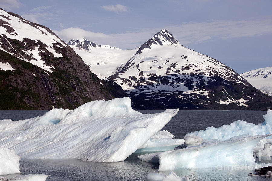 Alaskan Iceberg #3 Photograph by Mark Newman