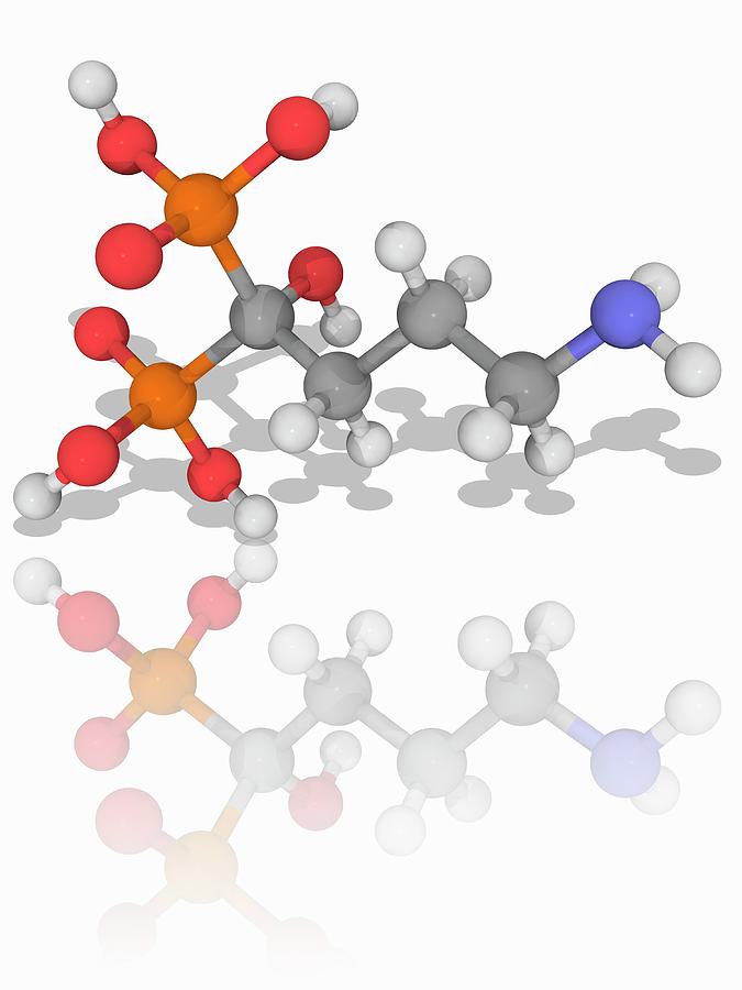 Alendronic Acid Drug Molecule Photograph by Laguna Design/science Photo ...