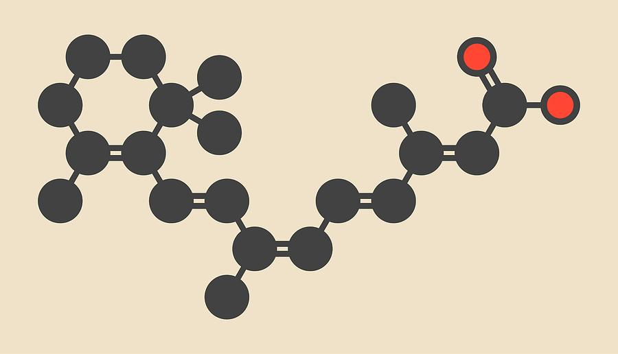 Alitretinoin Cancer Drug Molecule #3 Photograph by Molekuul