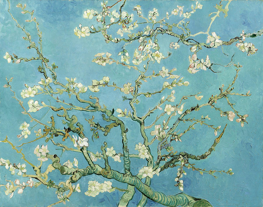 Almond blossom #11 Painting by Vincent van Gogh
