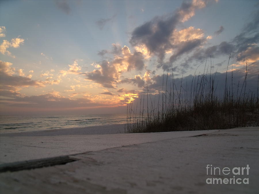 alone-in-heaven-again-photograph-by-craig-calabrese-fine-art-america